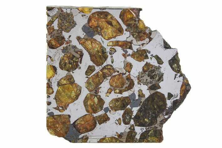 Brahin Pallasite Meteorite ( g) Slice - Belarus #351927